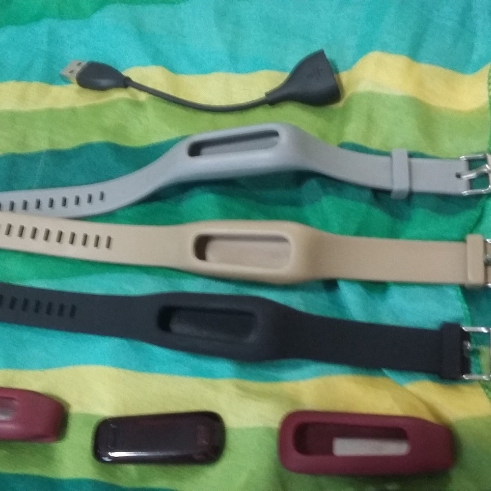 Fitbit One and Accessories Bundle